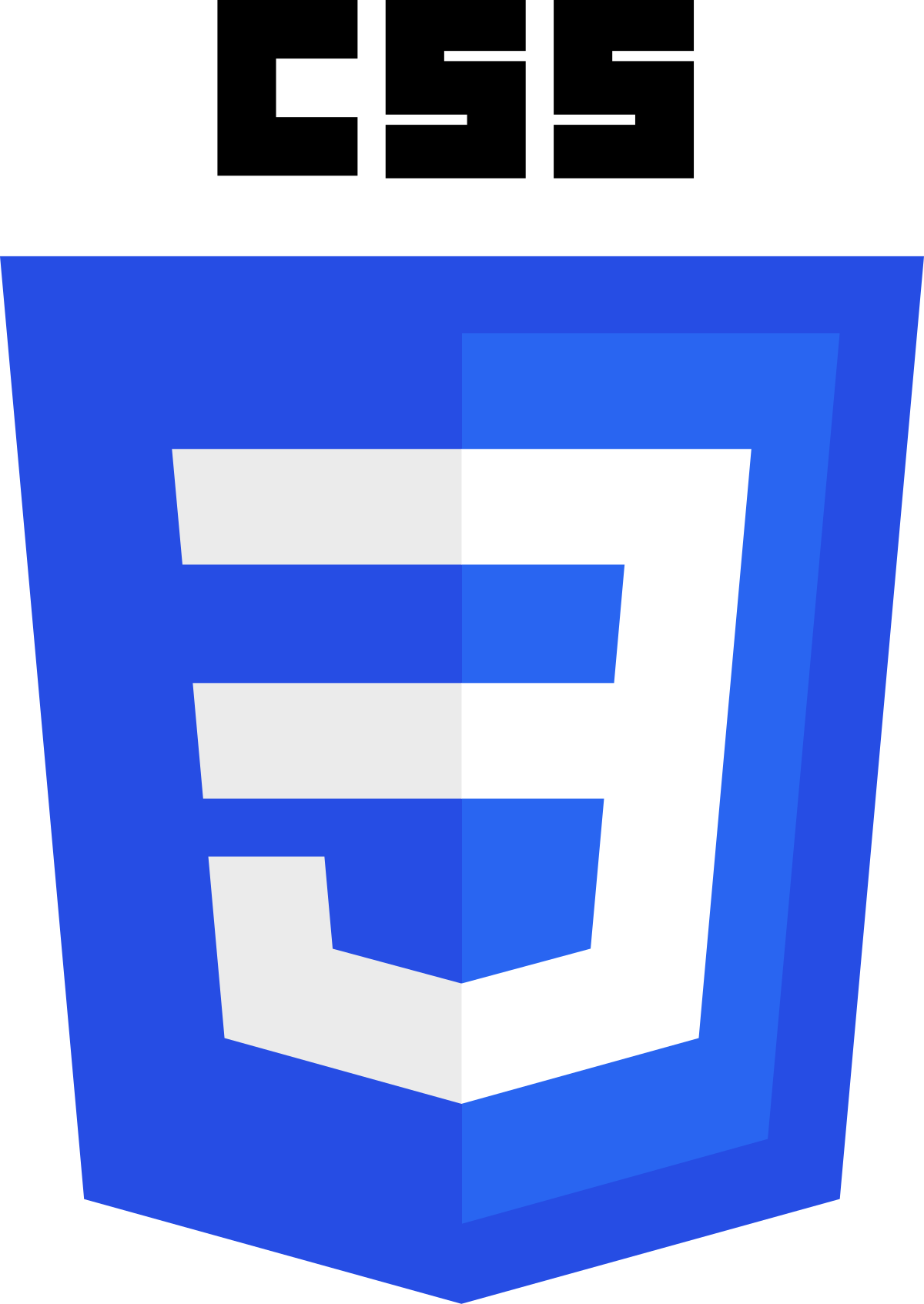 Logotipo de CSS3
